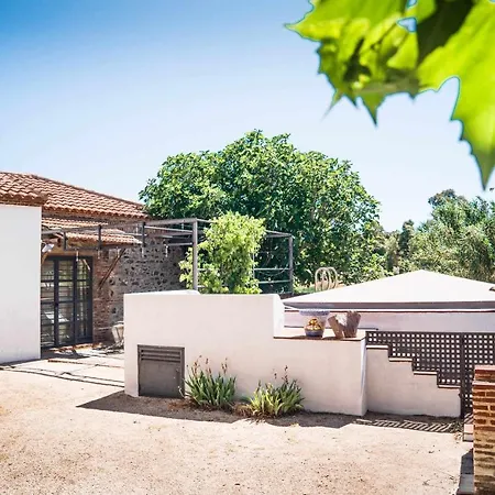 Lagar De Vina Vieja